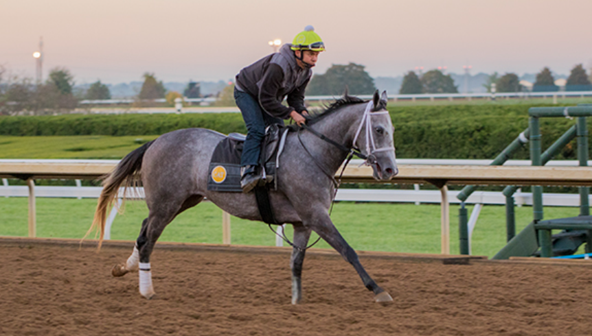 How Breeders Select Future Champions